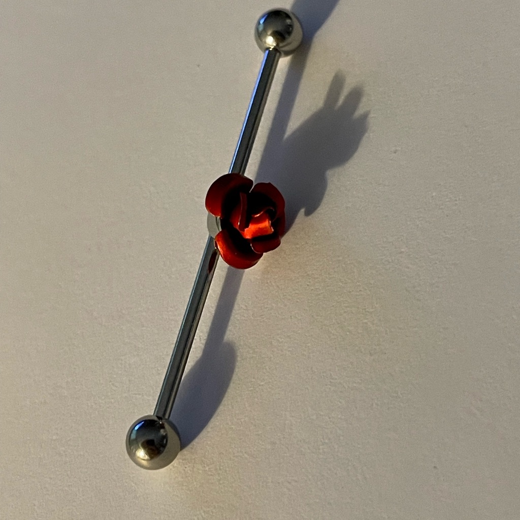 RoseIndustrial Barbell Surgical Stainless Steel